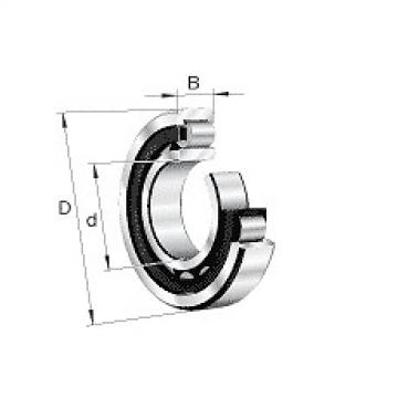 NU307-E-M1-C3 FAG Cylindrical roller bearing