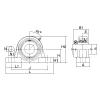 UELP-1.1/4 NTN SPHERICAL ROLLER NTN JAPAN BEARING #5 small image