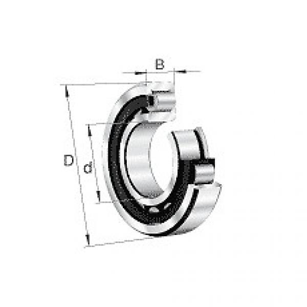 NJ2206-E-M1-C3 FAG Cylindrical roller bearing #5 image